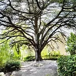 Castello Il Borgia In - Italy Villa Passignano sul Trasimeno