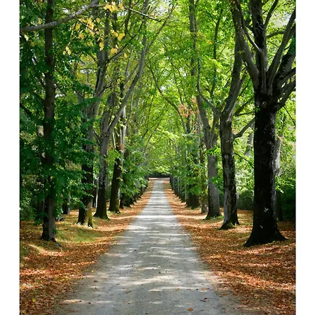 Βίλα Castello Il Borgia In - Italy *